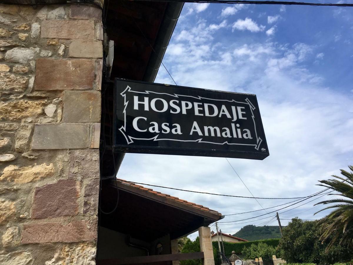 Hospedaje Casa Amalia Queveda Zewnętrze zdjęcie