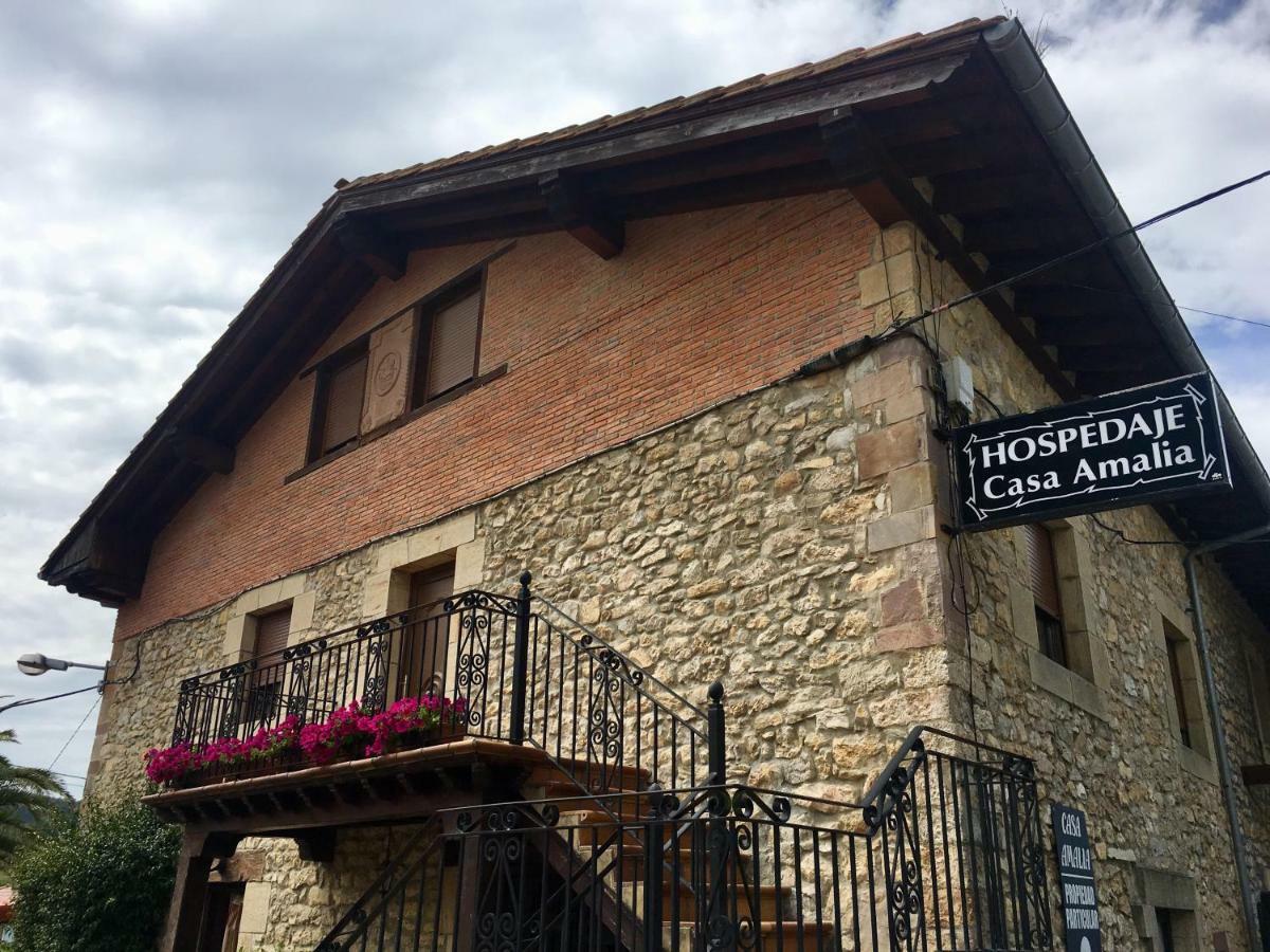 Hospedaje Casa Amalia Queveda Zewnętrze zdjęcie