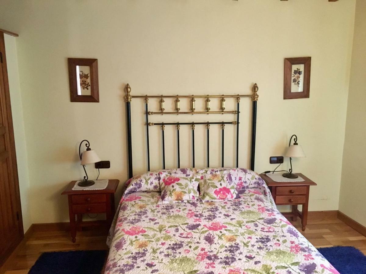 Hospedaje Casa Amalia Queveda Zewnętrze zdjęcie
